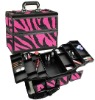 Pink Zebra Aluminum Makeup Case