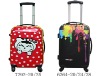 Polycarbonate trolley case