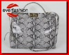 Popular Received Women Handbag 2011 Collection  EV1109