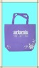 Popular non woven shopping bag