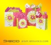 Promotion kraft paper bag