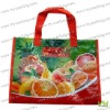 Recycled pp woven promotional bag