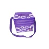 Small Cooler bag/Ice bag/Cool bag DT-B1269