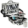 Zebra Textured Aluminum Makeup Train Case