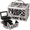 aluminum zabra cosmetic beauty case