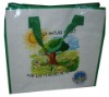 cheap pp woven  shopping bag