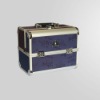 cosmetic case DY2629(six trays)