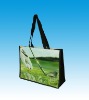 eco friendly non woven shopping bag