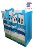 eco-friendly pp non woven advertising bag