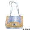 fashion lady handbag