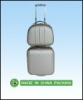 fashion luggage bag