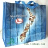 fashion pp non-woven bag D287