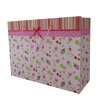 fruit paper bag with bow