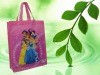 hot! NWB304 shopping bag