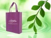 hot! NWB333 non woven shopping bag