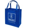 non woven bag/shopping bag/Polyester Bag/PP bag/promotional bag/tote bag/zipper bag