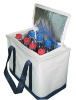 non-woven lunch bag