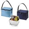 picnic cooler bag