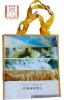 pp non woven bag