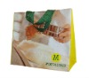 pp non woven bag (NW287)