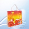 pp nonwoven promotion bag