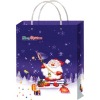 pp shopping bag