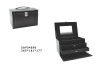 professional cosmetic storage case