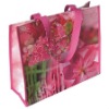 promotional pp woven shopping bag(HDH039)