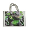 shopping bag