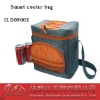 smart cooler bag,sports cooler bag