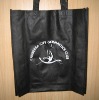 supply promotional non woven Bags