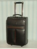 trolley case& trolley bags